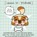 츄츄애견 이미지