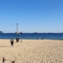 송도해수욕장 이미지