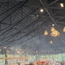 죽앤전 | 나트랑 다이아몬드베이리조트앤스파 조식/부대시설/마사지(송로스파) 이용 후기