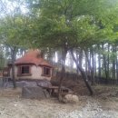 용인아이숲유아숲체험원 이미지