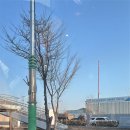 성남대로1518번길 이미지