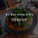 언양 | 울산 울주군 부드러운 닭과 칼칼한 국물이 일품인 '언양물닭갈비' 후기 (내돈내산)