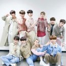 골드니스 이미지