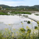 스테이 클래시 이미지