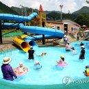 천동물놀이장 이미지