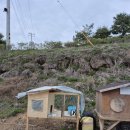 늘보배농장 이미지