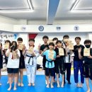 대진 윙 태권도 이미지