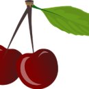 체리 이미지