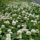 애월햇살 민박 이미지