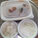 [ 경기 광주 ] 능평동 배달 맛집 코리안숯불닭바베큐 오포점 한식바베큐 내돈내산 후기