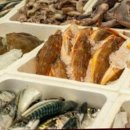 영어조합법인 바다의 아침 이미지