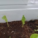 함지약국 이미지