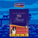 포독포독 이미지