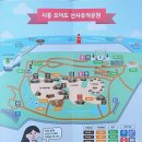 능곡동 선사유적 | 시흥 오이도선사유적공원 - 오이도 나들이에 아이와 가볼만한 곳