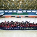 영암공설운동장 이미지