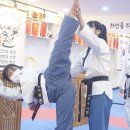 팀 화랑 태권도장 이미지
