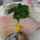 다찌