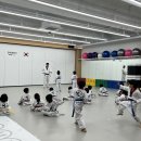 인하코리아 태권도 이미지