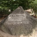 선미술관 이미지