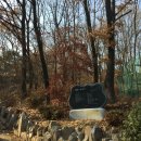 초안산길 이미지