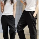 댕댕이샵 이미지