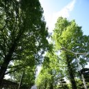 부천대학 이미지