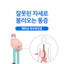 오른쪽 왼쪽 등 통증 있을때 이유 알아봐요 이미지