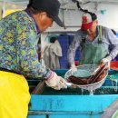 황금어장 이미지