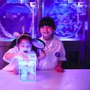 아쿠아 프랜즈 이미지