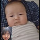 도경푸드 | [월간일기] 2026년 3월 하반기