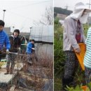 이영심 농장 네이버블로그