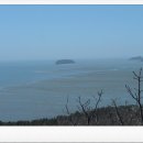 동아사랑 이미지