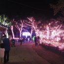 별빛랜드 이미지