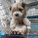 왕징면사무소 이미지