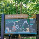 황성공원 씨름장 이미지