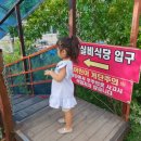 고개실비식당