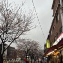 나도한번구워봐 | 서울 벚꽃야장 성북천 야장거리: 한성대입구역 벚꽃뷰 삼겹살 나도한번구워봐