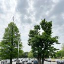 경기상상캠퍼스 이미지