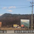 성수산 왕의숲 숲속의집 이미지