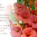 아도니제 네이버블로그