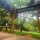 유아숲체험원(2) 이미지