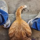 구옥스테이 이미지