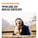 주식회사 남산 이미지