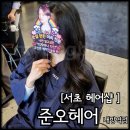 다인헤어클럽 | 서초 헤어샵 준오헤어 내방역점 뿌리 염색 후기 다인디자이너