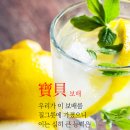 보배 티스토리