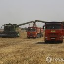 이승민농장 이미지