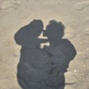 (주)신동화