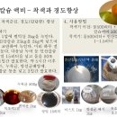 사과 고두병(苦痘病) 병증과 치료법... 2차비대, 착색기 인산칼슘 살포 및 관주
