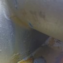 엘사우나 이미지