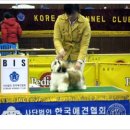 조은켄넬 이미지